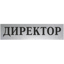 Табличка стандартна "ДИРЕКТОР", 200х70 мм