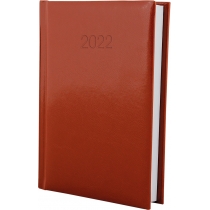 Щоденник датований 2024, FLASH, коричневий, А6