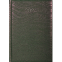 Щоденник датований 2024, SEA, рожево-зелений хамелеон, А5