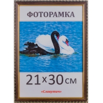 Рамка для фото Славутич 21х30 см коричнева з золотом