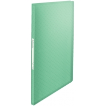 Папка з файлами Esselte Colour'ice, PP, 40 файлів, колір зелений