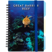 Блокнот "Reef", B6, пластикова обкл., спіраль, з розділювачами., 100 арк., клітинка