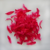 Наповнювач декоративний "Пір'я" темно-рожеве, 10 гр