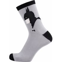 Шкарпетки підліткові демісезонні бавовняні BATMAN DUNA 5410; 24-26; сірий