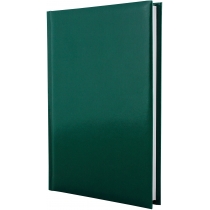 Щоденник недатований, ECONOMIX FLASH, зелений, клітинка, А5