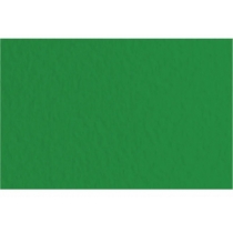 Папір для пастелі Tiziano B2 (50*70см), №37 biliardo, 160г/м2, зелений, середнє зерно, Fabriano
