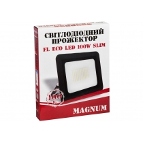 Прожектор світлодіодний MAGNUM_FL ECO LED 100Вт slim_6500К_IP65