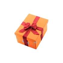 Короб Leitz Click & Store М, помаранчевий