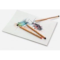 Набір олівців пастельних Faber-Castell PITT PASTEL 12 кольорів в металевій коробці