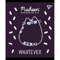 Зошит 18 аркушів, лінія, софт-тач+фольга срібло голограф. "Pusheen fabulous"