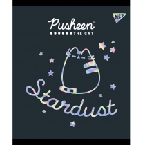 Зошит 18 аркушів, лінія, софт-тач+фольга срібло голограф. "Pusheen fabulous"