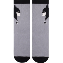 Шкарпетки підліткові демісезонні бавовняні BATMAN DUNA 5410; 22-24; сірий