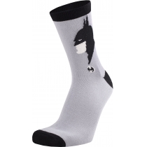 Шкарпетки підліткові демісезонні бавовняні BATMAN DUNA 5410; 22-24; сірий