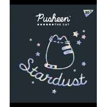 Зошит 18 аркушів, клітинка, софт-тач+фольга срібло голограф., "Pusheen fabulous"