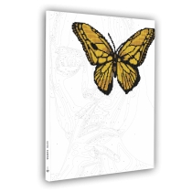 Алмазна мозаїка SANTI "Дівчина з золотим метеликом", 40*50 см. на підрамнику