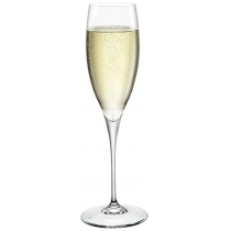 Набір келихів для шампанского Bormioli Rocco Galileo Sparkling Wines Xlt, 260мл, h245мм, 2шт, скло,